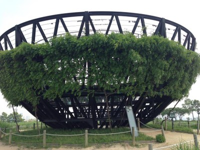 "รังนก"สัญลักษณ์ของสวนฮานึล 