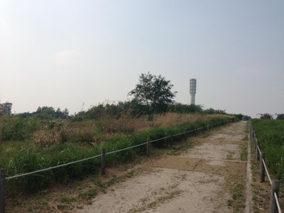 ทางเดินในสวนฮานึล 