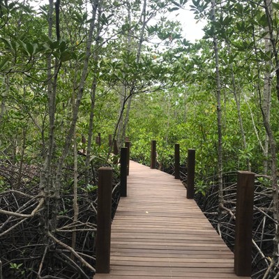 แลนด์มาจัน 3 วัน 2 คืน