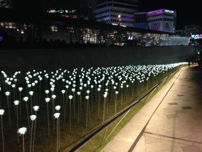 มุมนี้สำหรับเราสวยสุดๆ 