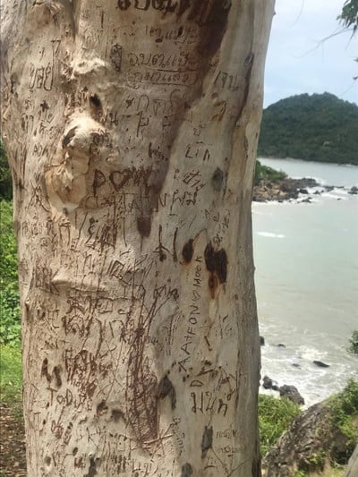 แลนด์มาจัน 3 วัน 2 คืน