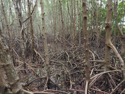 แลนด์มาจัน 3 วัน 2 คืน