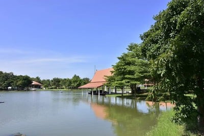 ลมโชยโฮมสเตย์บ้านพักริมแม่น้ำเจ้าพระยาสไตล์​ล๊อ​ฟ​