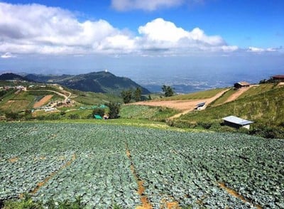 บรรยากาศ ภูทับเบิก