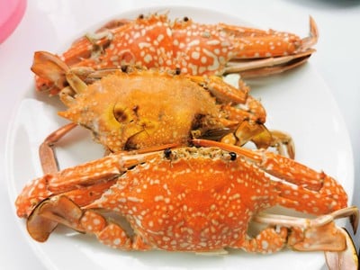 ปูม้านึ่ง