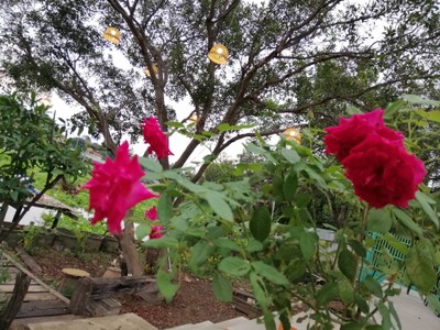 ลมโชยโฮมสเตย์บ้านพักริมแม่น้ำเจ้าพระยาสไตล์​ล๊อ​ฟ​