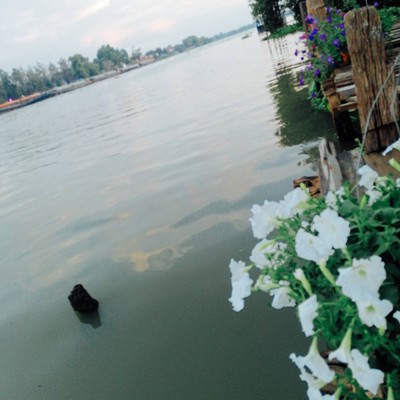 ลมโชยโฮมสเตย์บ้านพักริมแม่น้ำเจ้าพระยาสไตล์​ล๊อ​ฟ​