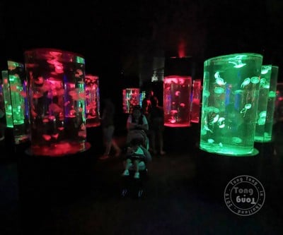 ฉุกเฉินทริป in Rayong & Pattaya