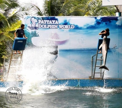 ฉุกเฉินทริป in Rayong & Pattaya