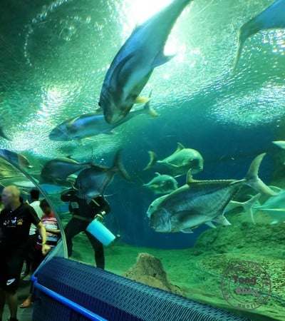 ฉุกเฉินทริป in Rayong & Pattaya