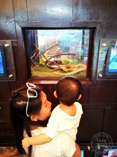 ฉุกเฉินทริป in Rayong & Pattaya