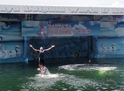 ฉุกเฉินทริป in Rayong & Pattaya