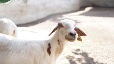 เขาใหญ่..ไปได้ทุกปี ไม่มีเบื่อ