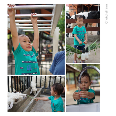 เขาใหญ่..ไปได้ทุกปี ไม่มีเบื่อ