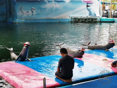 ฉุกเฉินทริป in Rayong & Pattaya