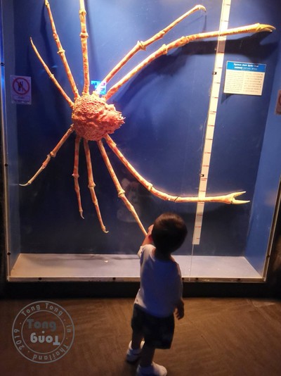 ฉุกเฉินทริป in Rayong & Pattaya