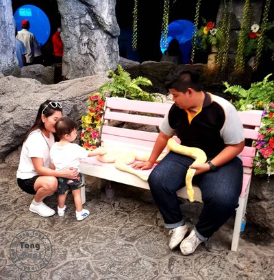 ฉุกเฉินทริป in Rayong & Pattaya