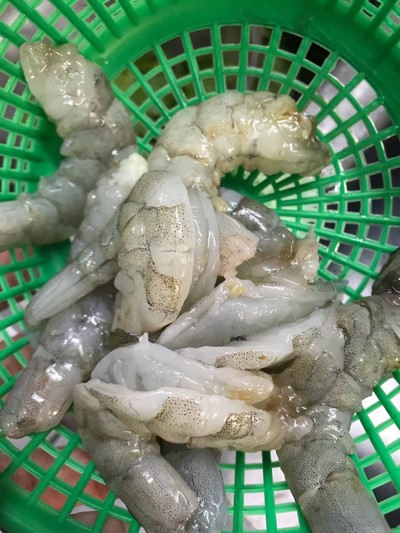 วิธีทำ ผัดกะเพราปูกุ้ง วิธีทำ ผัดกะเพราปูกุ้ง