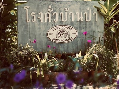 โรงคั่วบ้านป่า