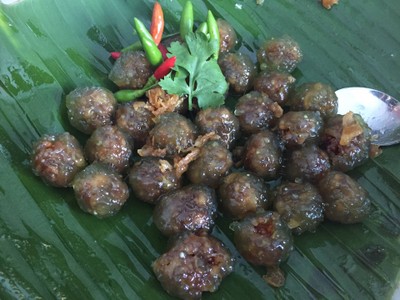 วิธีทำ สาคูไส้หมูตอนรับวันแม่ วิธีทำ สาคูไส้หมูตอนรับวันแม่