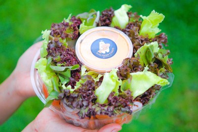 สลัดโรล