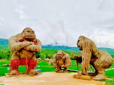 ห้วยตึงเฒ่า สูดอากาศชื่นใจ จุดท่องเที่ยวใหม่ที่ควรมาเช็คอิน!