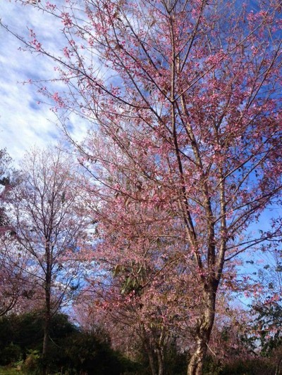 บรรยากาศ ภูลมโล