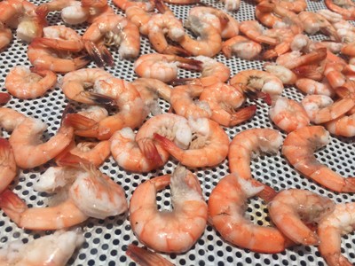 กุ้งแห้งจัมโบ้