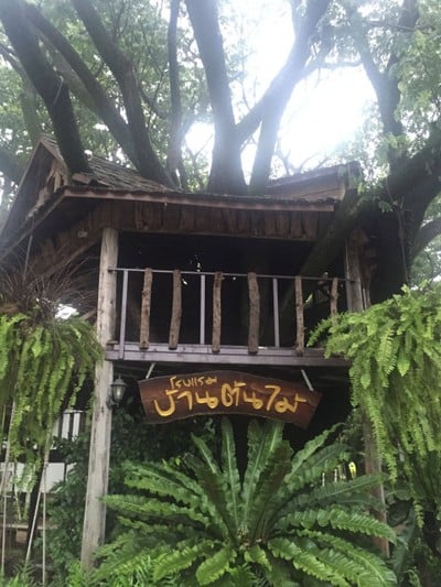 บริเวณโดยรอบ