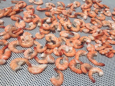 วิธีทำ กุ้งแห้งจัมโบ้ วิธีทำ กุ้งแห้งจัมโบ้