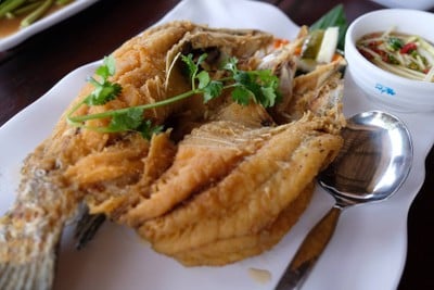 เมนูของร้าน Singha Food Co.,Ltd - ระเบียงทะเล บางปู 104