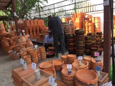 บรรยากาศ ตลาดต้นไม้ ทอ.ทุ่งสีกัน