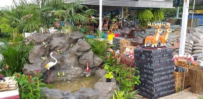บรรยากาศ ตลาดต้นไม้เลิศนิมิตร