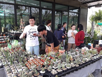บรรยากาศ ตลาดต้นไม้สวนพฤกษา หทัยราษฎร์