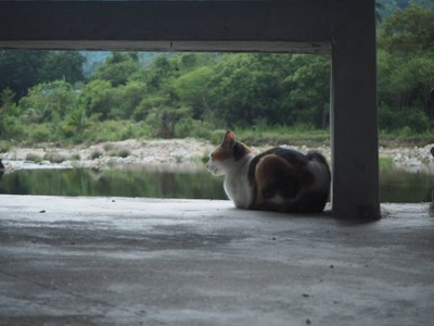 นครศรี-คีรีวง 