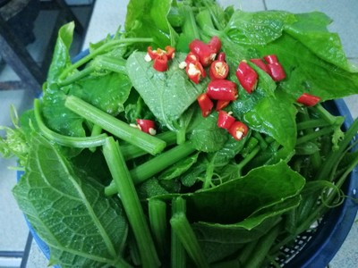 วิธีทำ ผัดยอดมะระกระเทียมพริกสด วิธีทำ ผัดยอดมะระกระเทียมพริกสด