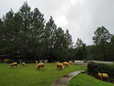 บรรยากาศ