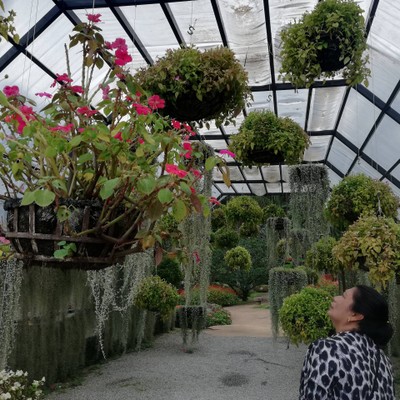 ​ไปแอ่ว​เชียงราย​ 