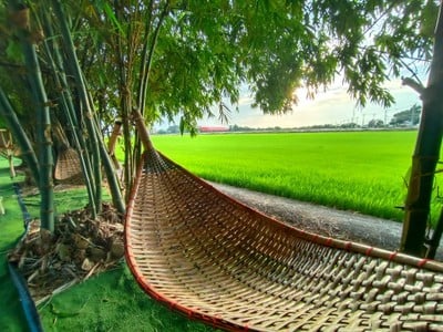 บรรยากาศ ปิ่นฟ้าฟาร์ม