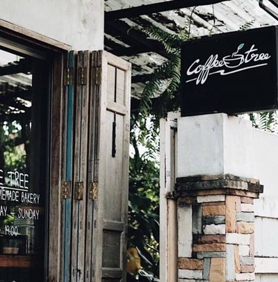 Coffee Tree (คอฟฟี่ ทรี) นนทบุรี Coffee Tree (คอฟฟี่ ทรี) นนทบุรี