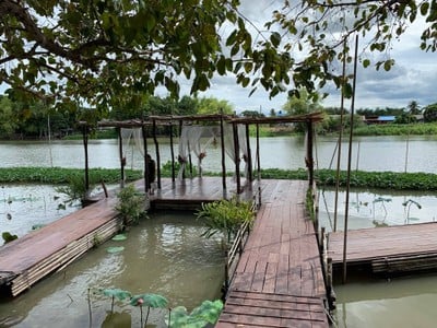 บรรยากาศ Tree & Tide Riverside