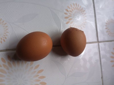 วิธีทำ ไข่ตุ๋นร้อนๆยามเช้า วิธีทำ ไข่ตุ๋นร้อนๆยามเช้า