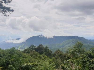 อุทยานแห่งชาติดอยภูคา