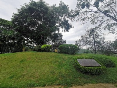 สวนน้าชาติ