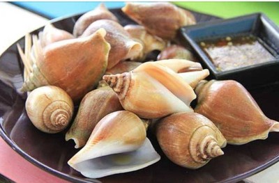 หอยชักตีน