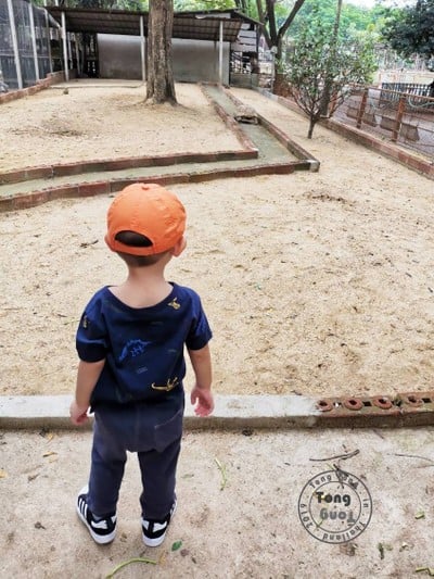 พาตงตงเที่ยวดูสัตว์ที่สามพราน( going to Zoo to...)