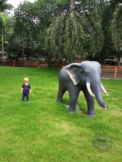 พาตงตงเที่ยวดูสัตว์ที่สามพราน( going to Zoo to...)