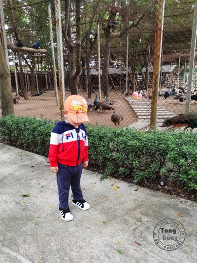 พาตงตงเที่ยวดูสัตว์ที่สามพราน( going to Zoo to...)