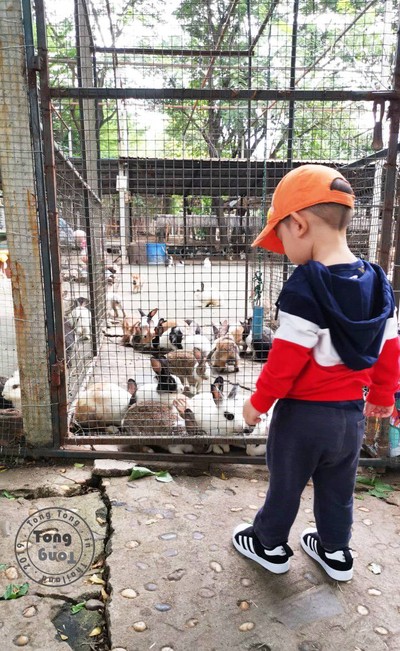 พาตงตงเที่ยวดูสัตว์ที่สามพราน( going to Zoo to...)