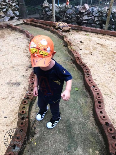 พาตงตงเที่ยวดูสัตว์ที่สามพราน( going to Zoo to...)